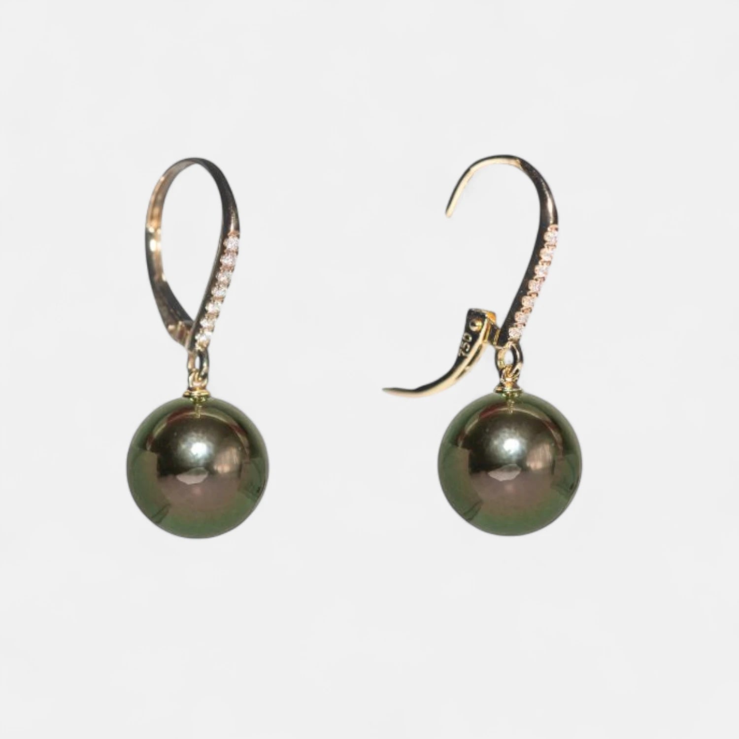 Selected Variant Image